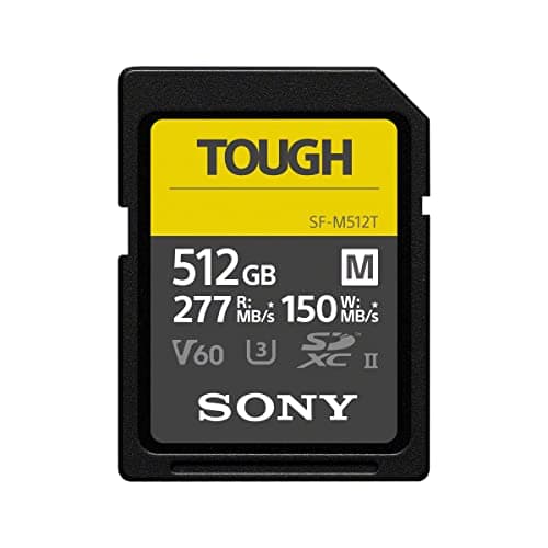 Sony 256GB SF-G Tough Series UHS-II SDHC Memory Card - SFM256TT1