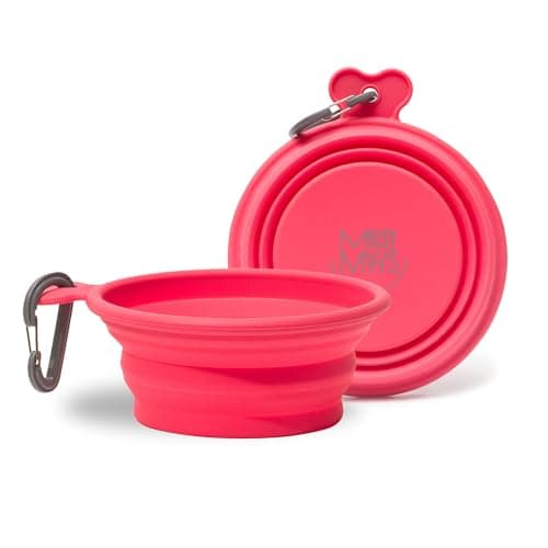 Messy Mutts Silicone Collapsible Bowl