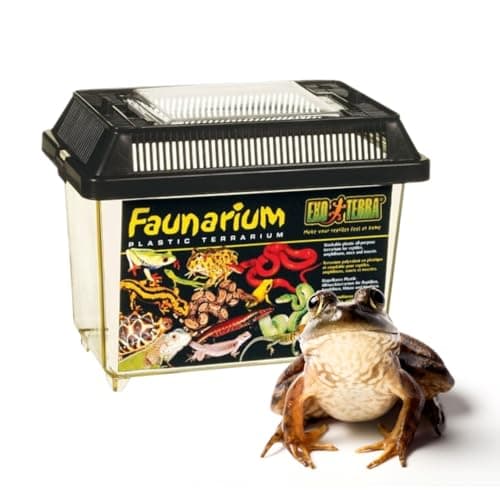 Exo terra - faunarium Large wide - Terrarios y habitats | KanReptiles.com