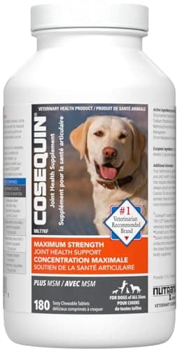 Cosequin DS Plus MSM Chewable Tablets for Small Dogs