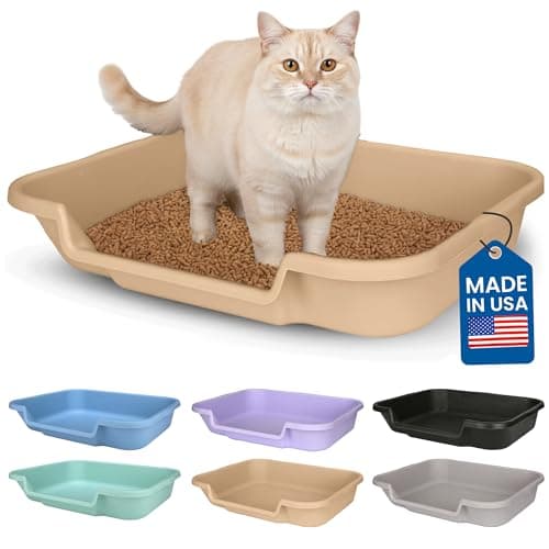 Kitty Go Here Senior Cat Litter Box