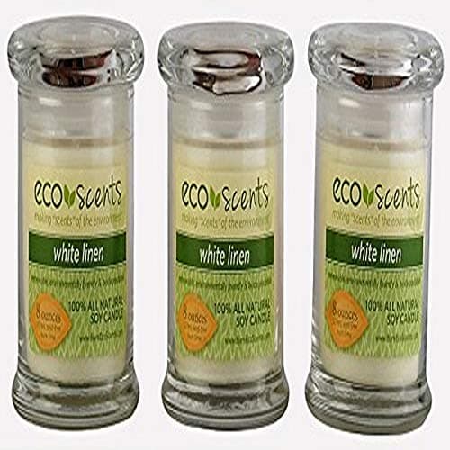 EcoScents Ocean mist 100% SOY WAX 8 oz | eBay