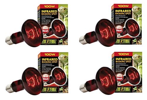 Exo Terra Infrared Basking Spot ampoule infrarouge 100W (1 pc) acheter ...