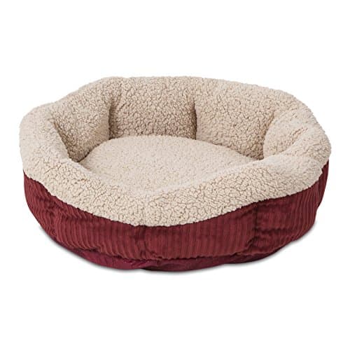 Aspen Pet Self Warming Round Cat Bed | Sintra the Cat