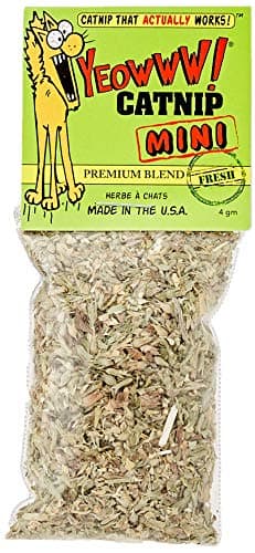 YEOWWW CATNIP MINI BAG 4G - Your Local Source for Everything Pet