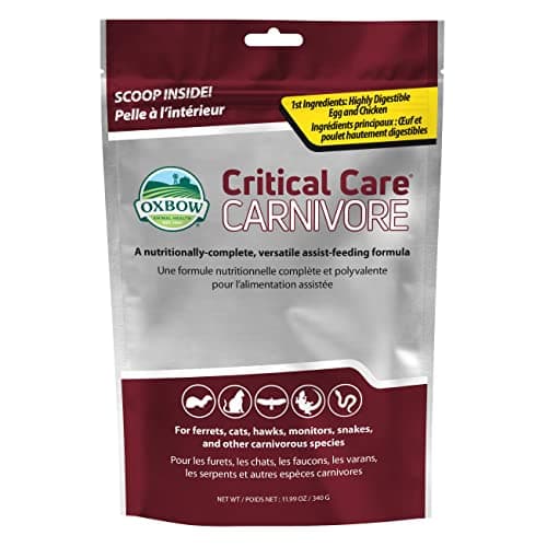Oxbow Critical Care Carnivore Small Animal Recovery Food (70g) - Bun Bun SG