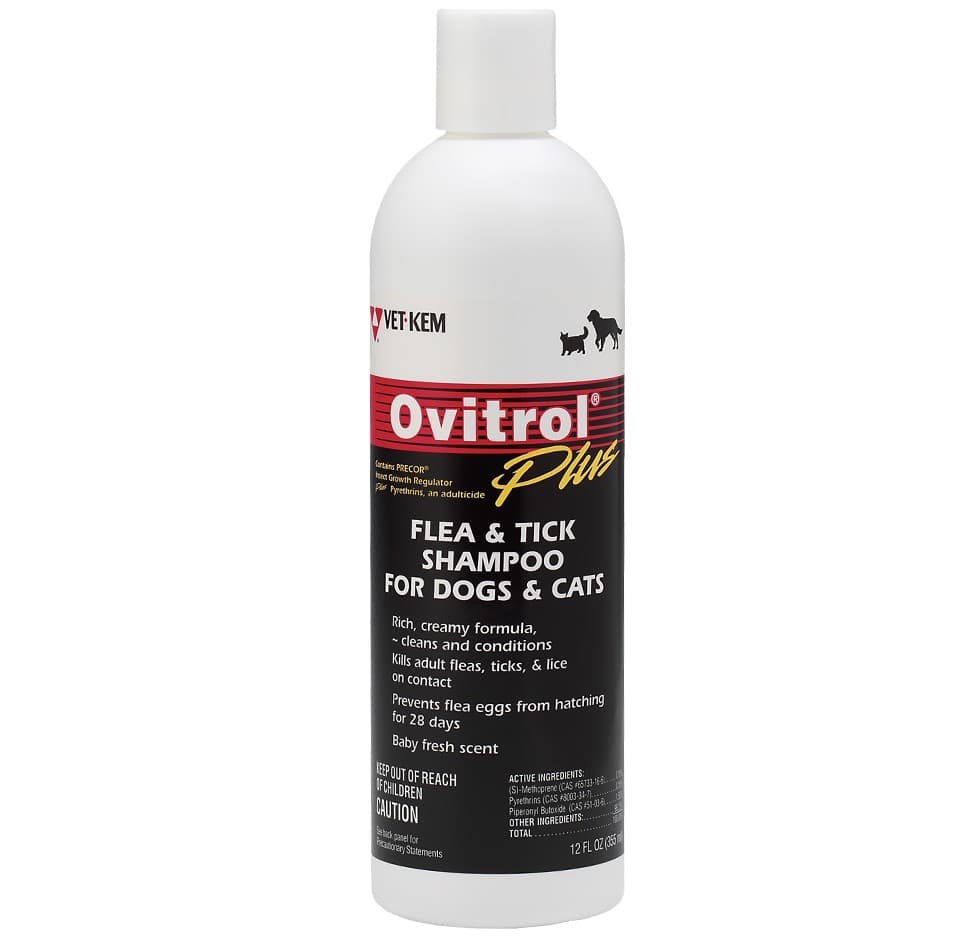 Flea Dips & Shampoo for Dogs|EntirelyPets