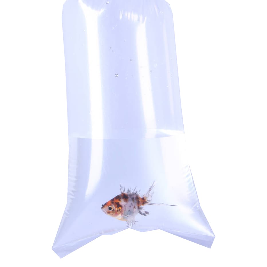 Aquarium Fish Transport Bags Polythene Coral Tropical Marine 150G ...